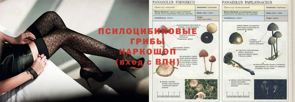 МДПВ Вяземский