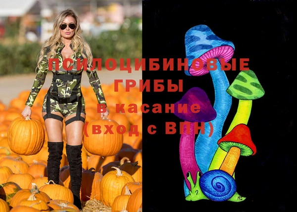 МДПВ Вяземский