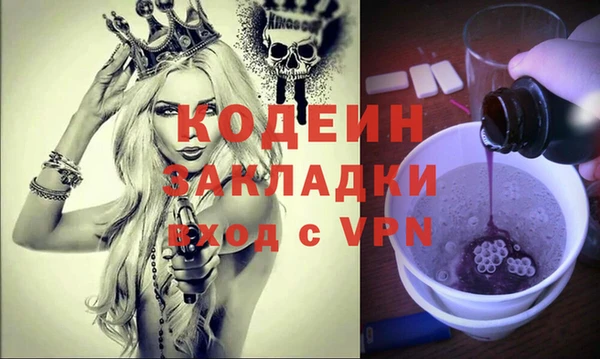 МДПВ Вяземский