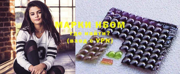 МДПВ Вяземский