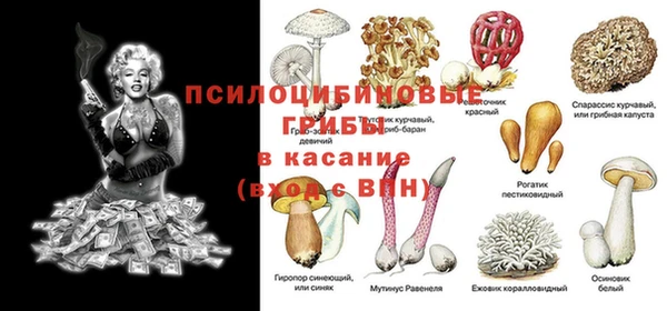 а пвп мука Вязники