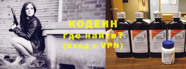МДПВ Вяземский