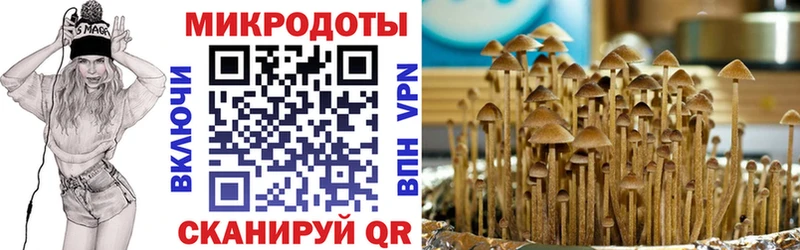 Галлюциногенные грибы GOLDEN TEACHER  сколько стоит  Славгород 